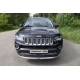 Рамка номерного знака Jeep Compass (комплект) ТСС для Любые